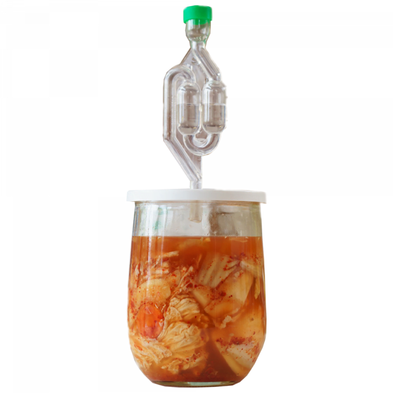 'Rotpot' DIY vegetable fermentation starterkit Startercultures.eu