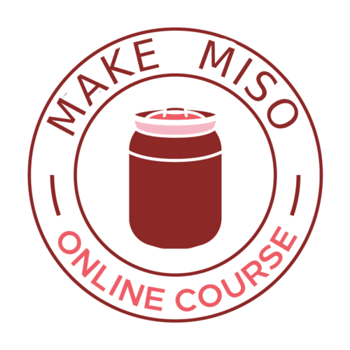 Englischsprachiger Online-Workshop "Miso selber machen"