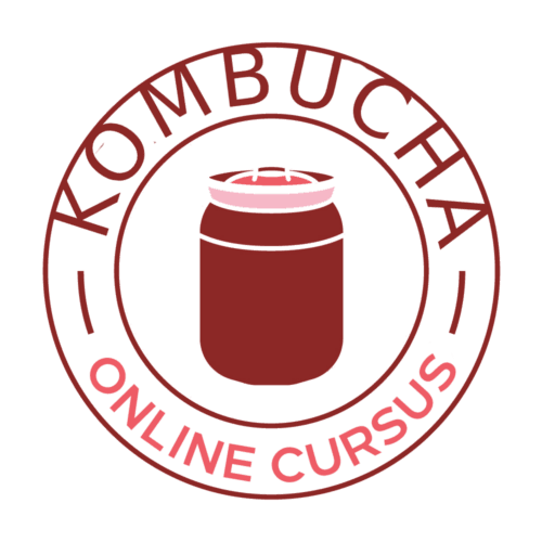 Online cursus 'maak je eigen kombucha'