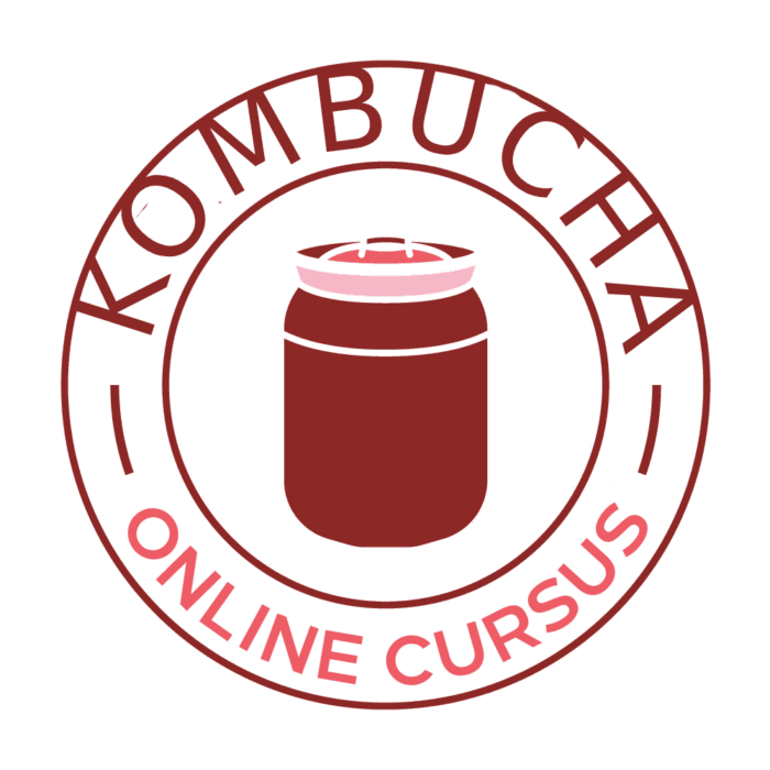 Online cursus 'maak je eigen kombucha'
