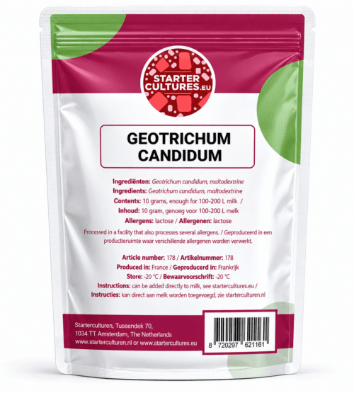 Weißer Käseschimmel | Geotrichum candidum