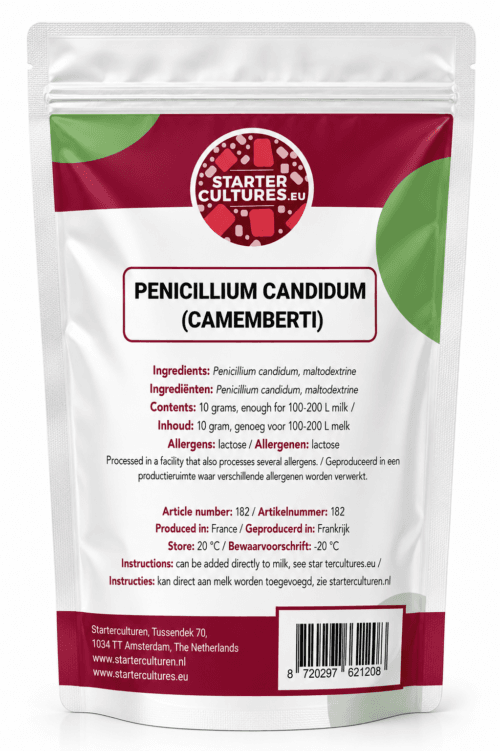 Weißer Käseschimmel | Penicillium candidum (Camemberti)