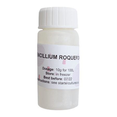Blauschimmel-Penicillium-roqueforti-2