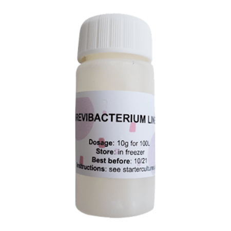Rotschmierkäse-Kultur-Brevibacterium-linens-2