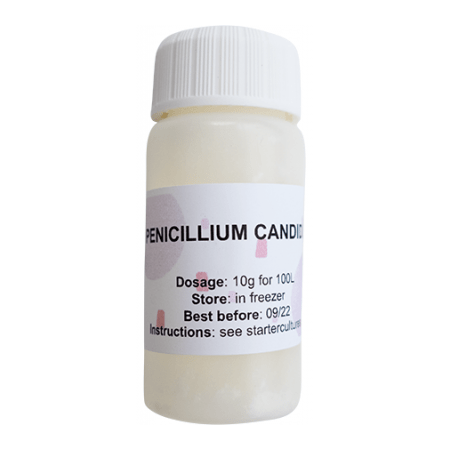 witschimmel-voor-kaas-Penicillium-candidum