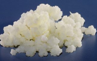 kefir grains