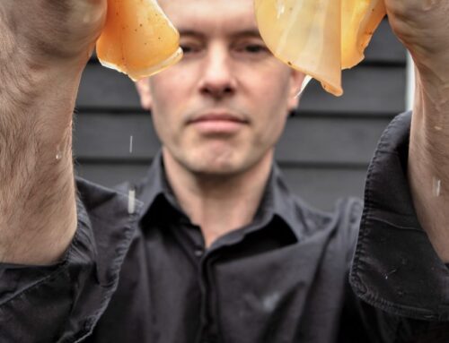 How to make kombucha at home: the complete guide