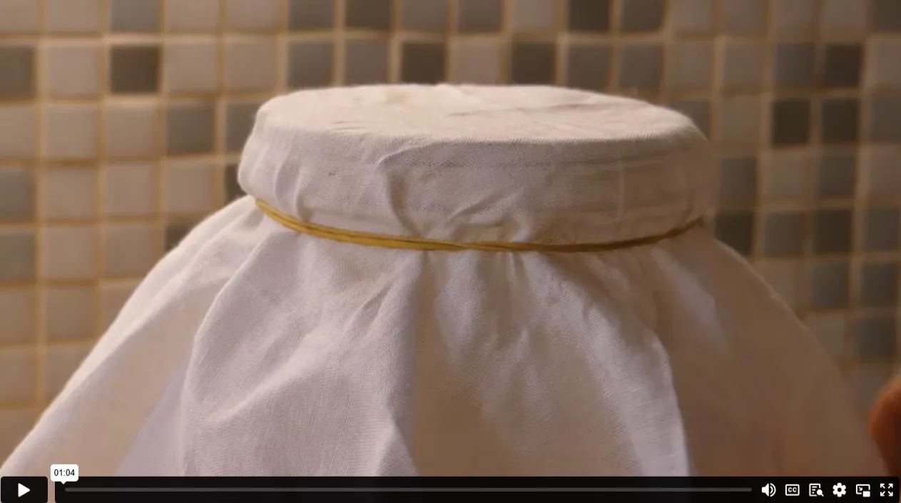 Online Kombucha making course - Image 5