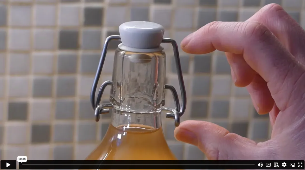 Online Kombucha making course - Image 6