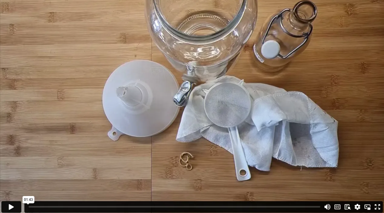 Online Kombucha making course - Image 3