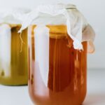 kombucha