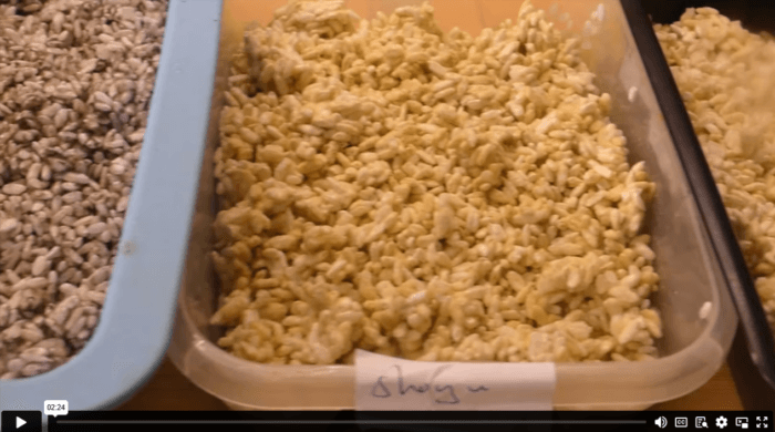 Online Miso making course - Image 6