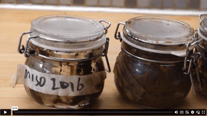 Online Miso making course - Image 8