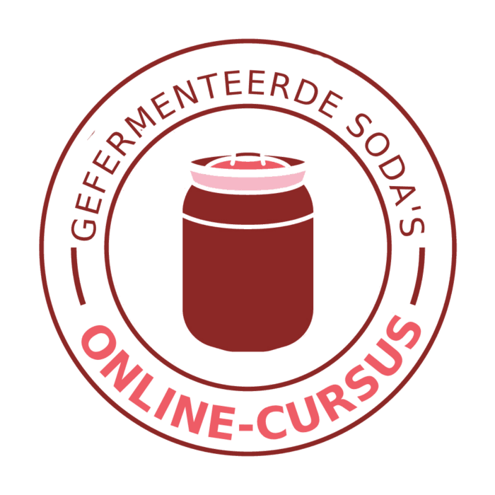 Online course 'Making fermented soft drinks: kvass, ginger beer and tepache'