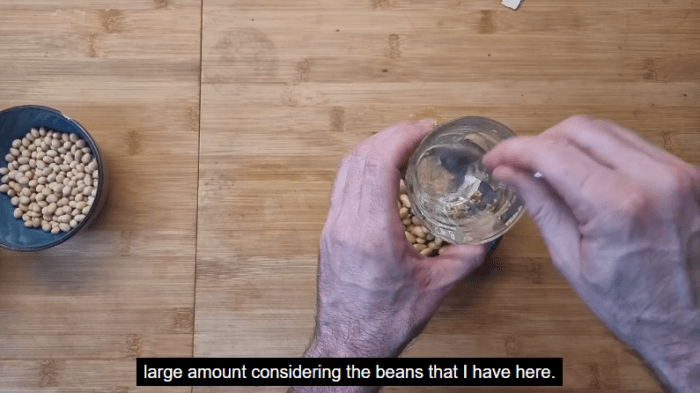 Online course ‘how to make natto at home’ - Image 5