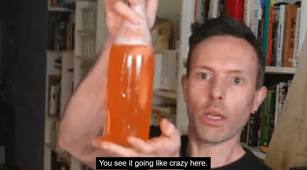 Online course ‘how to make water kefir at home’ - Image 5