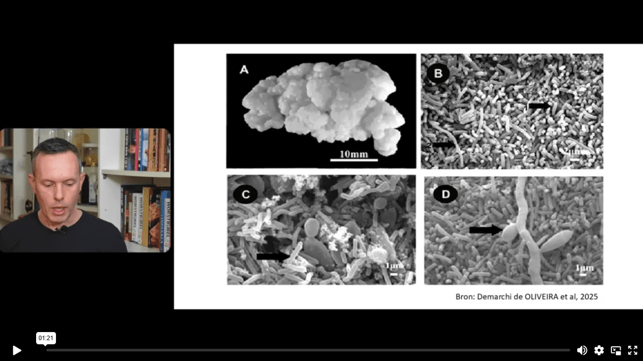 Online cursus 'melkkefir maken' - Image 4