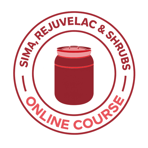 Online course ‘fermented soda's: sima, rejuvelac & shrubs’
