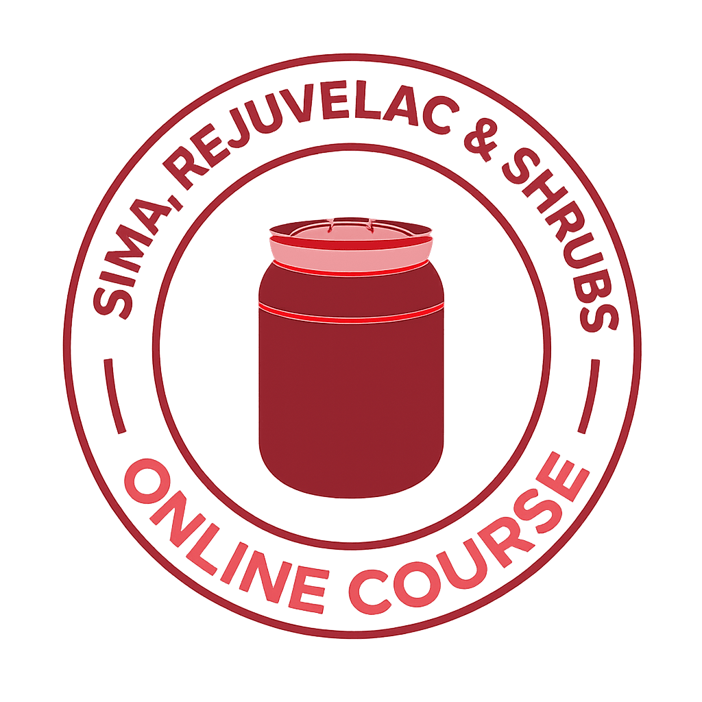 Online-Workshop „Fermentierte Erfrischungsgetränke: Sima, Rejuvelac & Shrubs“